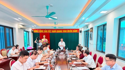 Phuc Thinh میں ترقیاتی منصوبوں کے نفاذ میں سماجی تنقید کے کردار کو فروغ دینا۔