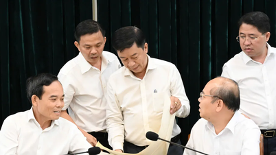 Ho Chi Minh City Party Secretary Tran Luu Quang directs the definitive resolution of two long-standing land and housing disputes.