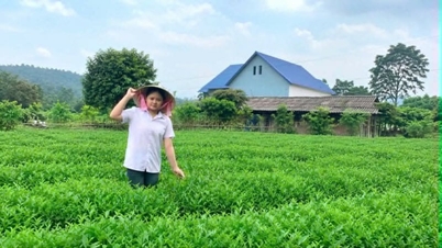 Bài dự thi "Ngày mai trong mắt em": "Vị chát của bão giông" và "mầm ngọt của ngày mai"