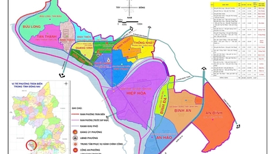 ドンナイ省の各コミューンと区は、村落、集落、近隣地区の再編計画を実施している。