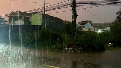 Lam Dong: Hujan lebat dan angin kencang menyebabkan kerusakan pada infrastruktur dan harta benda warga.
