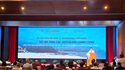 Küresel Vietnam'ın İnşa Sürecinde Orta ve Orta Yayla Bölgelerinin Rolüne İlişkin Uluslararası Konferans
