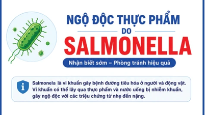 [Infografika] Zatrucie pokarmowe wywołane bakterią Salmonella: wczesne rozpoznanie i skuteczna profilaktyka.