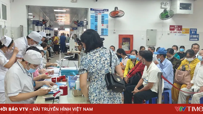 Ho Chi Minh City: Relieving pressure on primary healthcare with a multi-tiered, multi-polar strategy.