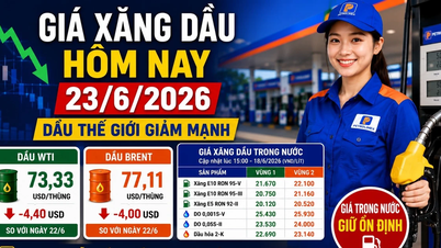 Giá xăng dầu hôm nay 23/6: Dầu thế giới giảm sâu, trong nước chờ điều chỉnh