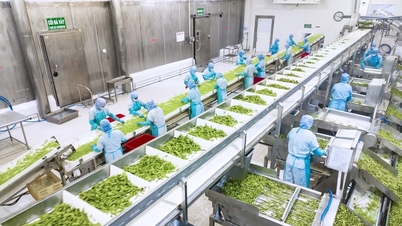 Οι τεχνολογίες επεξεργασίας, συσκευασίας και συντήρησης αξιοποιούν την πρόοδο των βιετναμέζικων γεωργικών προϊόντων.