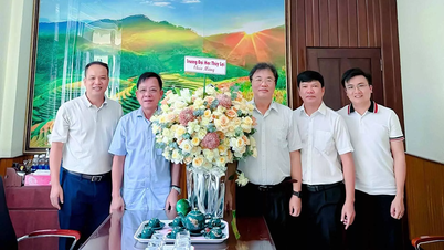 ມະຫາວິທະຍາໄລຊັບພະຍາກອນນ້ຳ ຂໍສະແດງຄວາມຍິນດີກັບອະດີດນັກສຶກສາ ຫງວຽນແທ່ງຟອງ ທີ່ໄດ້ຮັບການແຕ່ງຕັ້ງໃຫ້ດຳລົງຕຳແໜ່ງຮອງຫົວໜ້າພະແນກກະສິກຳ ແລະ ສິ່ງແວດລ້ອມແຂວງດັກລັກ.