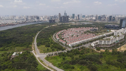 ホーチミン市、トゥーティエム地区の優良地8区画の競売日を設定。