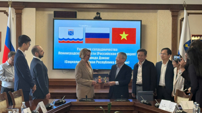 Da Nang mengundang perusahaan-perusahaan Rusia untuk berinvestasi di Zona Perdagangan Bebas.