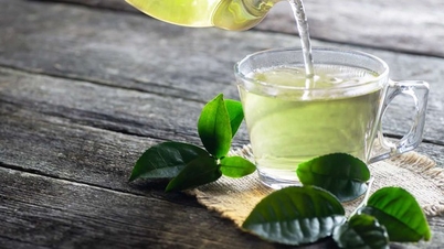 Kilo vermek için taze mi yoksa kurutulmuş yeşil çay mı içmelisiniz?
