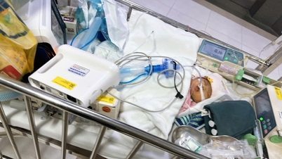 Cuộc đua giành sự sống cho 2 con mắc bệnh hiếm của người mẹ ở Hải Phòng