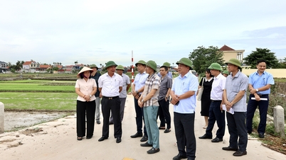 Phó Chủ tịch UBND thành phố Trần Văn Quân kiểm tra hạ tầng sản xuất nông nghiệp, môi trường và phòng chống thiên tai tại xã Tiên Minh và Chấn Hưng