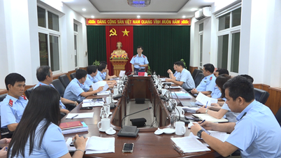 Statlig inspektions arbetsgrupp inspekterar och övervakar genomförandet av viktiga uppgifter i Hai Phong.