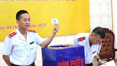 Hai Phong-inspektionen: Verifierar tillgångar och inkomster för 76 tjänstemän vid 12 myndigheter och enheter.