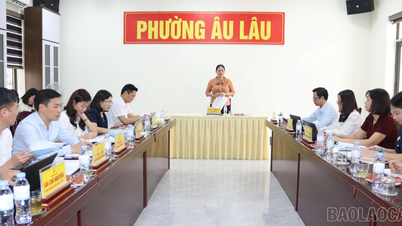 Departemen Propaganda dan Mobilisasi Massa Komite Partai Provinsi Lao Cai mengawasi pekerjaan propaganda dan mobilisasi massa di kelurahan Au Lau.