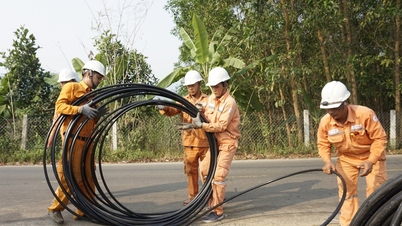 Lịch cúp điện Đồng Tháp từ ngày 23 - 28/6/2026: Sẽ cúp điện từ 6h đến 18h nhiều khu dân cư