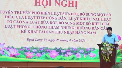 Hai Phongs stadsinspektion: Organiserar yrkesutbildning i den särskilda ekonomiska zonen Bach Long Vi.