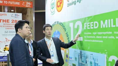 CP Vietnam ร่วมมือกับ IPVS 2026 เพื่อสนับสนุนการยกระดับมาตรฐานการเลี้ยงสุกรอย่างยั่งยืน