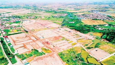 Bandara Internasional Gia Binh: Mempercepat penyerahan lahan dan proses relokasi.