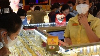Cập nhật 09:26 sáng 23/06/2026: Giá vàng đồng loạt giảm 0,5–0,6 triệu đồng, riêng Phú Quý SJC giảm gần 0,8 triệu
