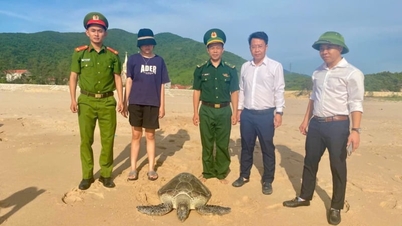 Đánh bắt trên biển, ngư dân Hà Tĩnh bất ngờ phát hiện rùa biển nặng 40kg
