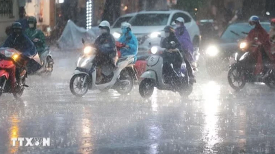 2026 Rainy and Typhoon Season: Approximately 16-19 periods of widespread heavy rainfall are predicted across the country.