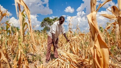 The United Nations has mobilized $202 million to respond to El Niño in 22 countries.