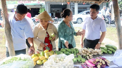 A bright spot in social welfare.