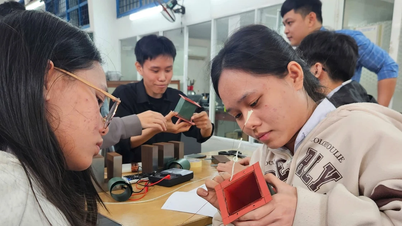 Giáo dục phổ thông: Nền móng của năng suất lao động quốc gia