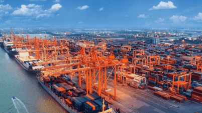 Siêu cảng Cái Mép Hạ 50.000 tỷ đồng tại TP.HCM chính thức khởi công vào tháng 7/2026