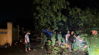Các địa phương phía Đông Lâm Đồng huy động lực lượng khắc phục hậu quả trận dông lốc