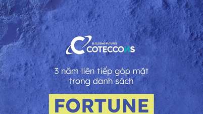 Coteccons fortsætter med at klatre på Fortune Southeast Asia 500-ranglisten.