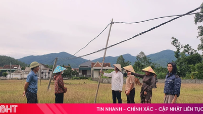 Nhiều hộ dân Tùng Lộc "khát" điện lưới