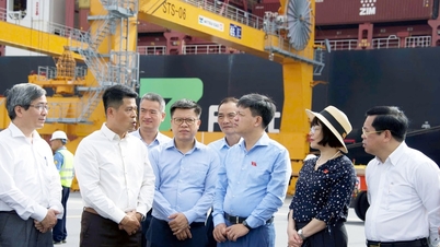 Đoàn công tác của Ủy ban Khoa học, Công nghệ và Môi trường khảo sát cảng Lạch Huyện