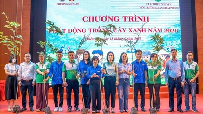 Untuk Hai Phong yang lebih hijau