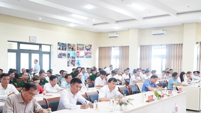 Hội Cựu chiến binh Đà Nẵng huy động hơn 11,9 tỷ đồng cho Quỹ Nghĩa tình đồng đội