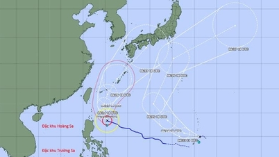 Mekkhala intensifies into a super typhoon, another storm is about to form.