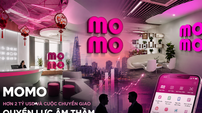 Who really owns MoMo? The power shift behind the billion-dollar deal of Vietnam's fintech unicorn.