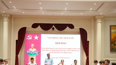 Văn bản hợp nhất được công nhận giá trị pháp lý trong quá trình viện dẫn