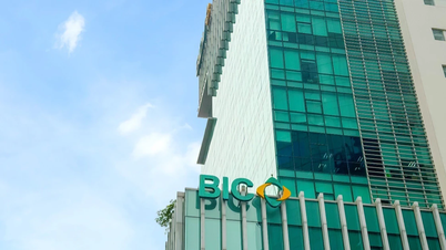 A BIC második éve egymás után a 4 legelismertebb nem-életbiztosító társaság között szerepel.
