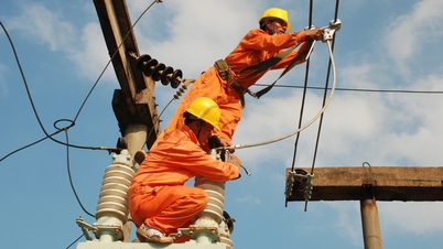 Lịch cúp điện Tây Ninh (Long An cũ) từ ngày 23 - 28/6/2026: Có khu dân cư bị cúp điện từ giữa đêm, nơi tối muộn mới cấp điện trở lại