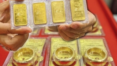 Precios del oro hoy, 23 de junio: ¿Aumentarán o disminuirán los precios del oro de SJC, los anillos de oro de Bao Tin Minh Chau, el oro de Bao Tin Manh Hai, el oro de Doji y el oro de Phu Quy?