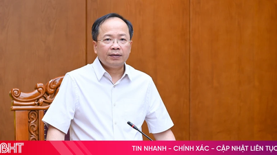 Setiausaha Parti Wilayah dan Ketua Delegasi Dewan Undangan Negeri Wilayah, Nguyen Duy Lam, akan mengadakan sesi rundingan awam biasa esok.