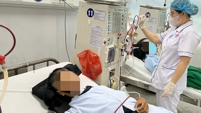 Điều trị "cá thể hóa" cho bệnh nhân suy thận