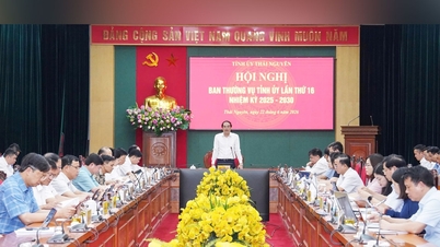 Thai Nguyen: Striving to achieve double-digit growth targets.