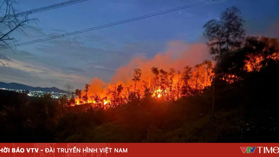 O secretário do Comitê Provincial do Partido em Nghe An solicitou que o máximo de recursos fosse concentrado no combate aos incêndios florestais e na prevenção de sua propagação.