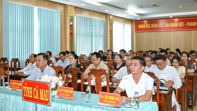 Memahami dan menerapkan secara menyeluruh Resolusi Kongres Nasional ke-11 Front Tanah Air Vietnam.