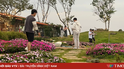 Nearly 12 million tourists visited Lam Dong, creating momentum to achieve double-digit growth targets.