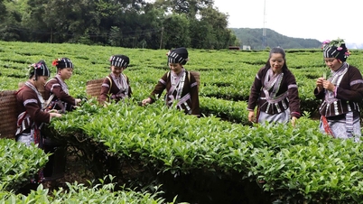 Lai Chau met en œuvre le « Projet de soutien à l'entrepreneuriat féminin giai đoạn 2026-2035 » (2026-2035).