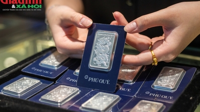Preços da prata hoje, 23 de junho: Phu Quy, Doji, Ancarat e Sacombank-SBJ atingem novamente o nível mais baixo - quem ficará feliz?